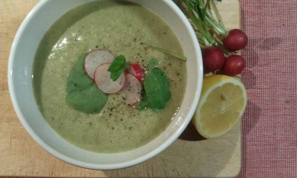 Feine Radieschensuppe - Gemüsehof Steiger